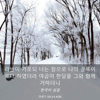 Picture 03 - 창세기 29:14 KOR - 라반이 가로되 너는 참으로 나의 - Bible Verse Picture