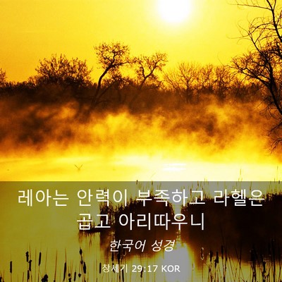 Picture 03 - 창세기 29:17 KOR - 레아는 안력이 부족하고 라헬은 곱고 - Bible Verse Picture