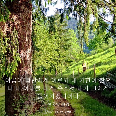 Picture 03 - 창세기 29:21 KOR - 야곱이 라반에게 이르되 내 기한이 - Bible Verse Picture
