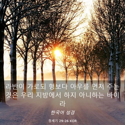 Picture 03 - 창세기 29:26 KOR - 라반이 가로되 형보다 아우를 먼저 - Bible Verse Picture