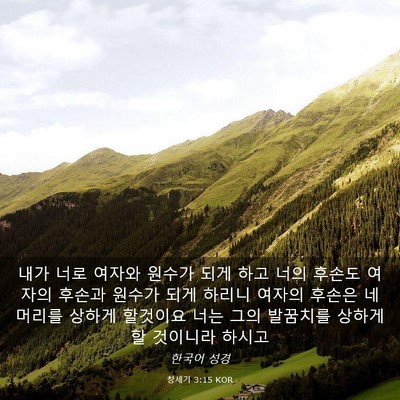 Picture 03 - 창세기 3:15 KOR - 내가 너로 여자와 원수가 되게 하고 - Bible Verse Picture