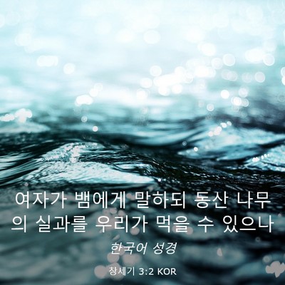 Picture 03 - 창세기 3:2 KOR - 여자가 뱀에게 말하되 동산 나무의 - Bible Verse Picture