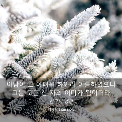 Picture 03 - 창세기 3:20 KOR - 아담이 그 아내를 하와라 - Bible Verse Picture