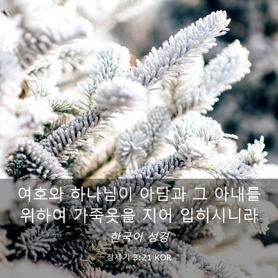 Picture 03 - 창세기 3:21 KOR - 여호와 하나님이 아담과 그 아내를 - Bible Verse Picture