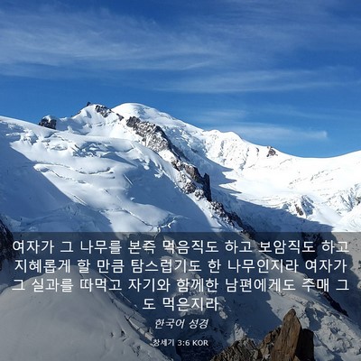 Picture 03 - 창세기 3:6 KOR - 여자가 그 나무를 본즉 먹음직도 - Bible Verse Picture