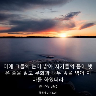Picture 03 - 창세기 3:7 KOR - 이에 그들의 눈이 밝아 자기들의 - Bible Verse Picture