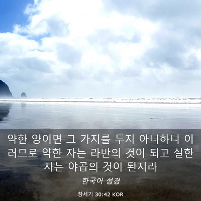 Picture 03 - 창세기 30:42 KOR - 약한 양이면 그 가지를 두지 - Bible Verse Picture