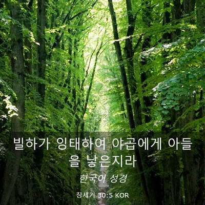 Picture 03 - 창세기 30:5 KOR - 빌하가 잉태하여 야곱에게 아들을 - Bible Verse Picture
