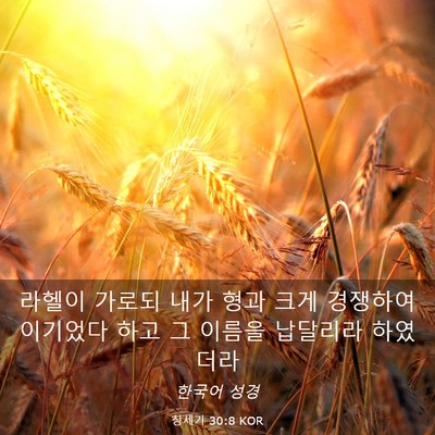 Picture 03 - 창세기 30:8 KOR - 라헬이 가로되 내가 형과 크게 - Bible Verse Picture