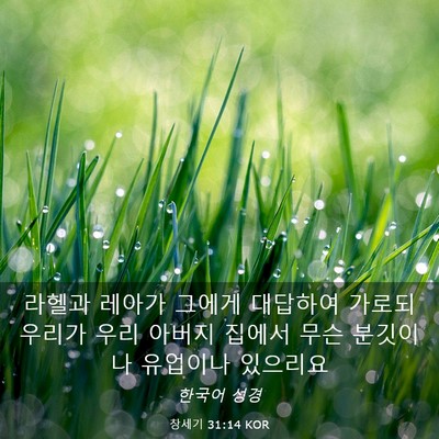 Picture 03 - 창세기 31:14 KOR - 라헬과 레아가 그에게 대답하여 - Bible Verse Picture