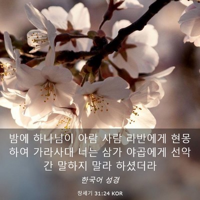 Picture 03 - 창세기 31:24 KOR - 밤에 하나님이 아람 사람 라반에게 - Bible Verse Picture