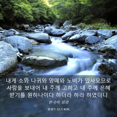Picture 03 - 창세기 32:5 KOR - 내게 소와 나귀와 양떼와 노비가 - Bible Verse Picture