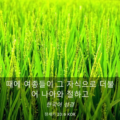 Picture 03 - 창세기 33:6 KOR - 때에 여종들이 그 자식으로 더불어 - Bible Verse Picture