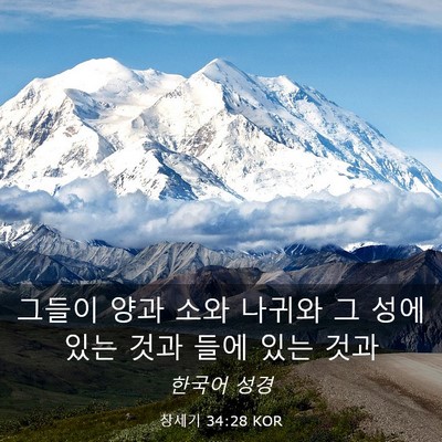 Picture 03 - 창세기 34:28 KOR - 그들이 양과 소와 나귀와 그 성에 - Bible Verse Picture