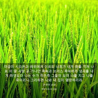 Picture 03 - 창세기 34:30 KOR - 야곱이 시므온과 레위에게 이르되 - Bible Verse Picture