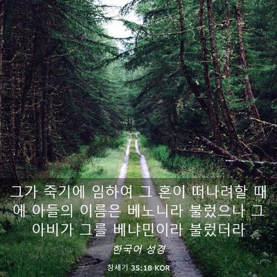 Picture 03 - 창세기 35:18 KOR - 그가 죽기에 임하여 그 혼이 - Bible Verse Picture