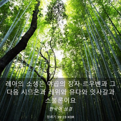 Picture 03 - 창세기 35:23 KOR - 레아의 소생은 야곱의 장자 르우벤과 - Bible Verse Picture