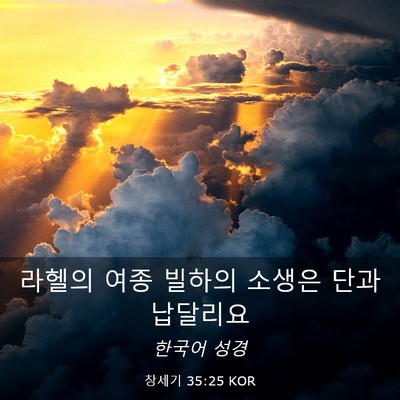 Picture 03 - 창세기 35:25 KOR - 라헬의 여종 빌하의 소생은 단과 - Bible Verse Picture