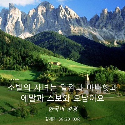 Picture 03 - 창세기 36:23 KOR - 소발의 자녀는 알완과 마나핫과 - Bible Verse Picture