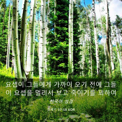 Picture 03 - 창세기 37:18 KOR - 요셉이 그들에게 가까이 오기 전에 - Bible Verse Picture