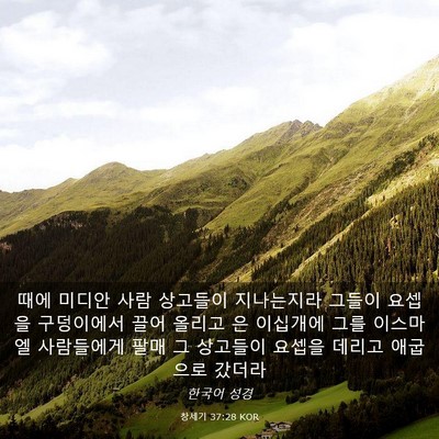 Picture 03 - 창세기 37:28 KOR - 때에 미디안 사람 상고들이 - Bible Verse Picture