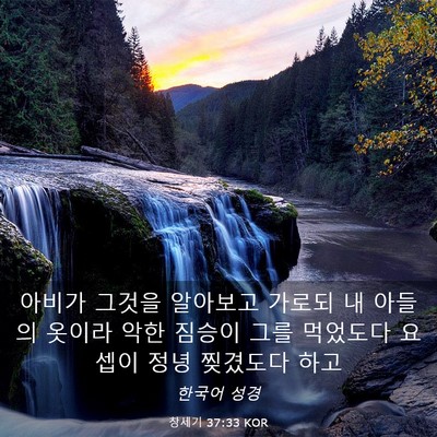 Picture 03 - 창세기 37:33 KOR - 아비가 그것을 알아보고 가로되 내 - Bible Verse Picture