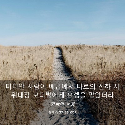 Picture 03 - 창세기 37:36 KOR - 미디안 사람이 애굽에서 바로의 신하 - Bible Verse Picture