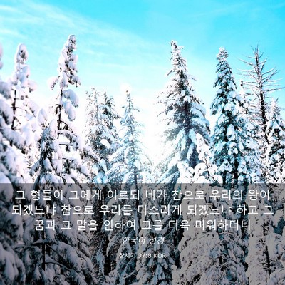 Picture 03 - 창세기 37:8 KOR - 그 형들이 그에게 이르되 네가 - Bible Verse Picture