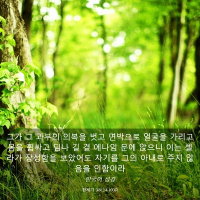 Picture 03 - 창세기 38:14 KOR - 그가 그 과부의 의복을 벗고 - Bible Verse Picture