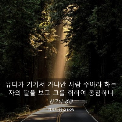 Picture 03 - 창세기 38:2 KOR - 유다가 거기서 가나안 사람 수아라 - Bible Verse Picture