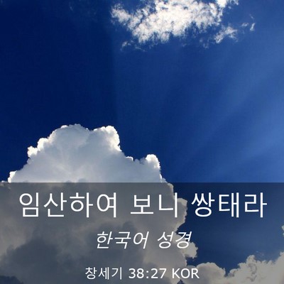 Picture 03 - 창세기 38:27 KOR - 임산하여 보니 - Bible Verse Picture