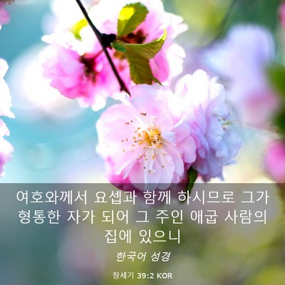 Picture 03 - 창세기 39:2 KOR - 여호와께서 요셉과 함께 하시므로 - Bible Verse Picture