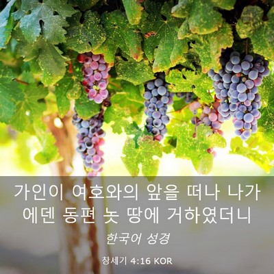 Picture 03 - 창세기 4:16 KOR - 가인이 여호와의 앞을 떠나 나가 - Bible Verse Picture