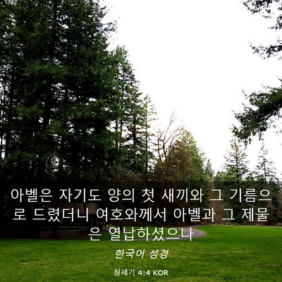 Picture 03 - 창세기 4:4 KOR - 아벨은 자기도 양의 첫 새끼와 그 - Bible Verse Picture
