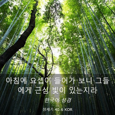 Picture 03 - 창세기 40:6 KOR - 아침에 요셉이 들어가 보니 그들에게 - Bible Verse Picture