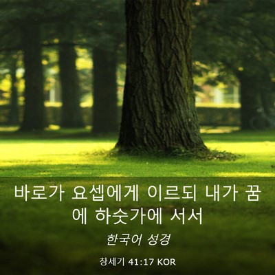 Picture 03 - 창세기 41:17 KOR - 바로가 요셉에게 이르되 내가 꿈에 - Bible Verse Picture