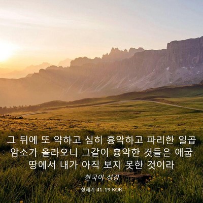 Picture 03 - 창세기 41:19 KOR - 그 뒤에 또 약하고 심히 흉악하고 - Bible Verse Picture