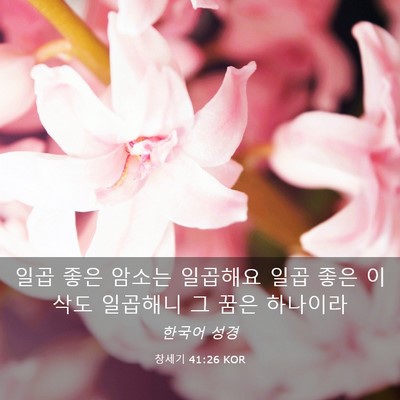 Picture 03 - 창세기 41:26 KOR - 일곱 좋은 암소는 일곱해요 일곱 - Bible Verse Picture