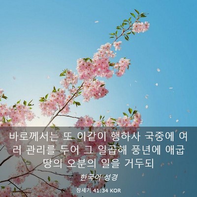 Picture 03 - 창세기 41:34 KOR - 바로께서는 또 이같이 행하사 국중에 - Bible Verse Picture