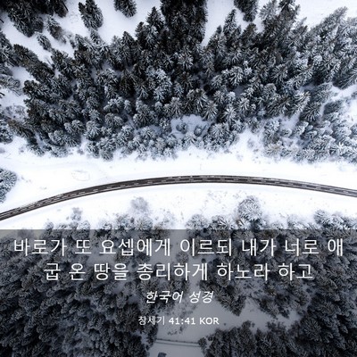 Picture 03 - 창세기 41:41 KOR - 바로가 또 요셉에게 이르되 내가 - Bible Verse Picture