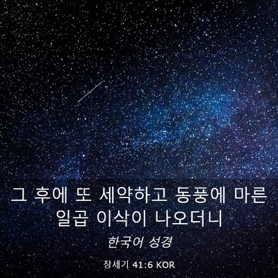Picture 03 - 창세기 41:6 KOR - 그 후에 또 세약하고 동풍에 마른 - Bible Verse Picture