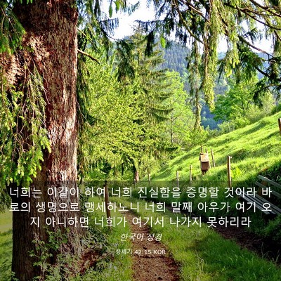 Picture 03 - 창세기 42:15 KOR - 너희는 이같이 하여 너희 진실함을 - Bible Verse Picture