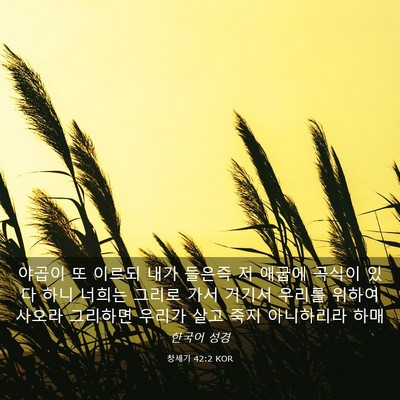 Picture 03 - 창세기 42:2 KOR - 야곱이 또 이르되 내가 들은즉 저 - Bible Verse Picture