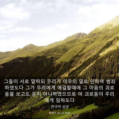 Picture 03 - 창세기 42:21 KOR - 그들이 서로 말하되 우리가 아우의 - Bible Verse Picture