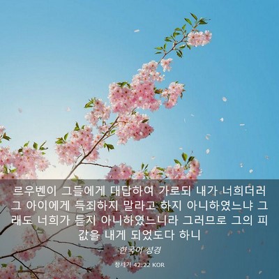 Picture 03 - 창세기 42:22 KOR - 르우벤이 그들에게 대답하여 가로되 - Bible Verse Picture