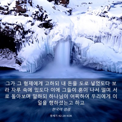 Picture 03 - 창세기 42:28 KOR - 그가 그 형제에게 고하되 내 돈을 - Bible Verse Picture