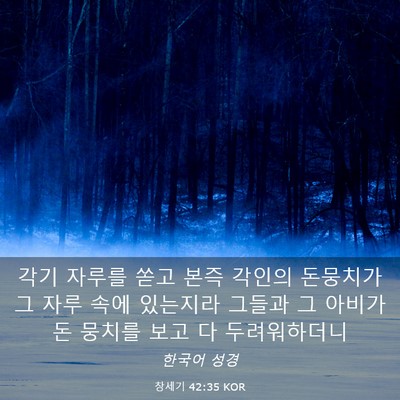 Picture 03 - 창세기 42:35 KOR - 각기 자루를 쏟고 본즉 각인의 - Bible Verse Picture