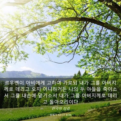 Picture 03 - 창세기 42:37 KOR - 르우벤이 아비에게 고하여 가로되 - Bible Verse Picture