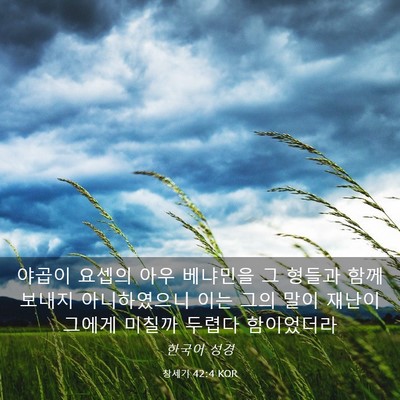 Picture 03 - 창세기 42:4 KOR - 야곱이 요셉의 아우 베냐민을 그 - Bible Verse Picture