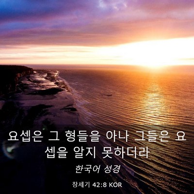 Picture 03 - 창세기 42:8 KOR - 요셉은 그 형들을 아나 그들은 - Bible Verse Picture